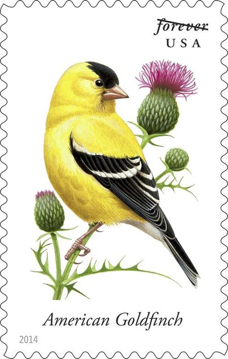 100 Goldfinch Forever Postage Stamps Unused Songbird Forever Stamps for Mailing